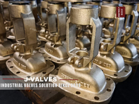 //iqrorwxhlpiilj5q-static.leadongcdn.com/cloud/miBpoKnrRllSiqooropjk/C95800-Gate-Valve.jpg