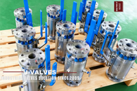 //iqrorwxhlpiilj5q-static.leadongcdn.com/cloud/miBpoKnrRllSmlmppklil/Industrial-Grade-Stainless-Steel-DBB-Ball-Valve.jpg