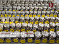 //iqrorwxhlpiilj5q-static.leadongcdn.com/cloud/miBpoKnrRllSqkrnrkllj/Check-Valve.jpg
