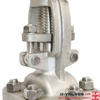Материал из нержавеющей стали A351 CF8 JIS10K Flanged Gate Valve 