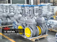//iqrorwxhlpiilj5q-static.leadongcdn.com/cloud/mkBpoKnrRllSiqqrpolnk/12-150LB-WCB-Wedge-Type-Rising-Stem-Gate-Valve.jpg