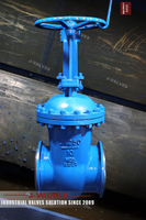 //iqrorwxhlpiilj5q-static.leadongcdn.com/cloud/mkBpoKnrRllSmollpllml/DN250-10-WCB-Gate-valve.jpg