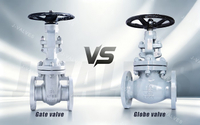 //iqrorwxhlpiilj5q-static.leadongcdn.com/cloud/mkBpoKnrRllSmonppmlmn/GATE-VALVE-VS-GLOBE-VALVE.jpg