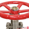 Материал из нержавеющей стали A351 CF8 JIS10K Flanged Gate Valve 