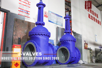 //iqrorwxhlpiilj5q-static.leadongcdn.com/cloud/mnBpoKnrRllSrqqklolmk/DN600-PN16-GP240GH-Gate-Valve.jpg