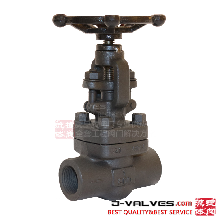 800# Foregd Steel A105 Сплошные сварные сварные кончики Ведж