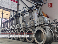 //iqrorwxhlpiilj5q-static.leadongcdn.com/cloud/moBpoKnrRllSoikknqljj/GATE-VALVES2.jpg