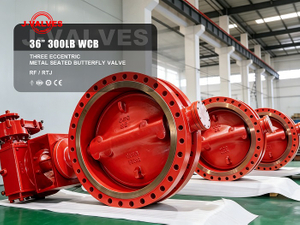 Three eccentric Metal Seated Butterfly Valve.jpg