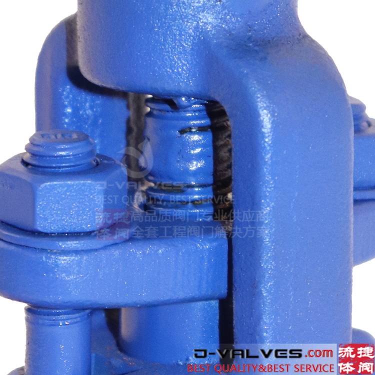 F91 1500 фунт против коррозионной кованой из нержавеющей стали F-NPT Globe Valve