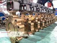 //iqrorwxhlpiilj5q-static.leadongcdn.com/cloud/mrBpoKnrRllSlkmjjolnk/C95800-Three-eccentric-lug-butterfly-valve.jpg