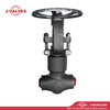DN50 PN160 A105N Задвижка под стыковую сварку
